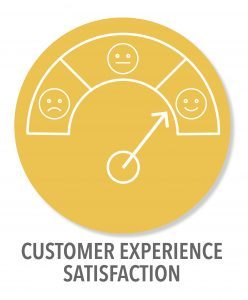 Customer Experience Operational Excellence and Transformation Consulting Services