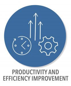 Productivity and Efficiency Transformation Consulting Services