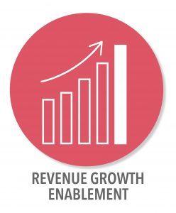 Revenue Growth Operational Excellence Consulting